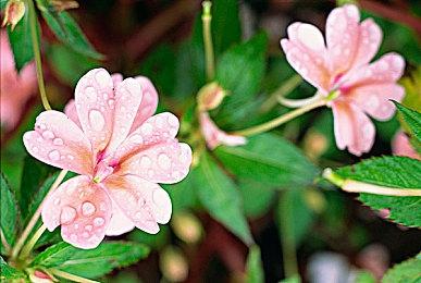 “梦见岛”风格新作《Castaway》公布上市日期